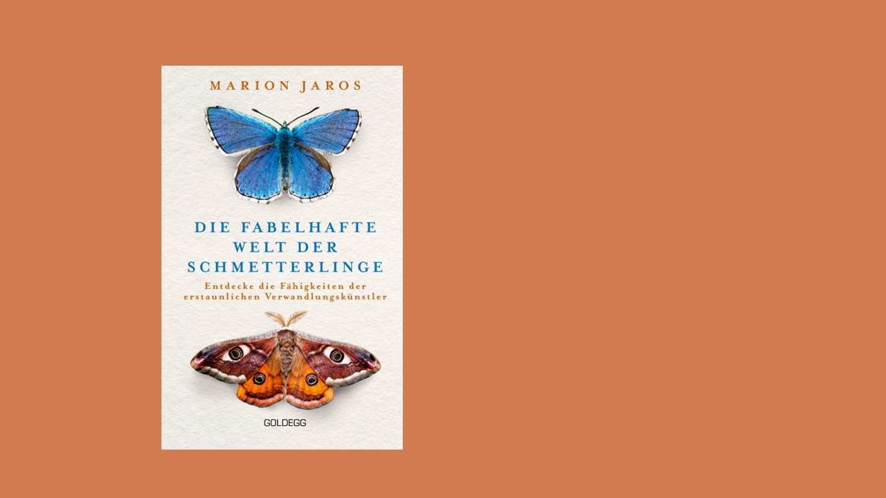 Vor braunem Hintergrund ein beigefarbener Buchtitel mit einem blauen Schmetterling oben und einem orange-braun gemusterten unten und dem Titel: Die fabelhafte Welt der Schmetterlinge