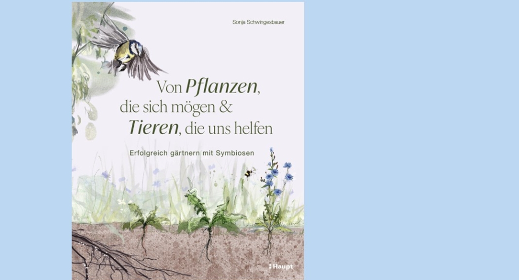Vor hellblauem Hintergrund ein Buchtitel mit einem gezeichneten Vogel über Pflanzen und dem Text: 