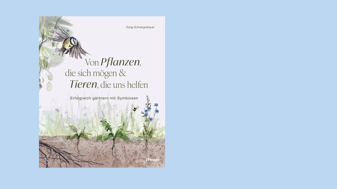 Vor hellblauem Hintergrund ein Buchtitel mit einem gezeichneten Vogel über Pflanzen und dem Text: "Von Pflanzen, die sich mögen & Tieren, die uns helfen"