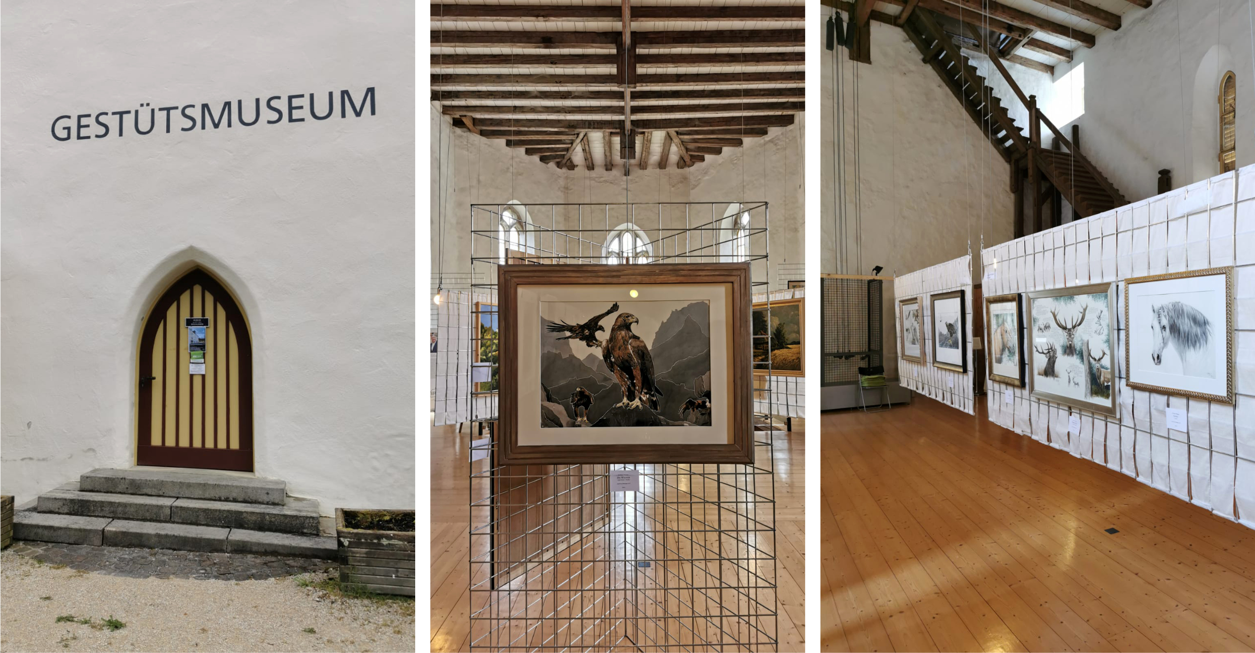 Ein Mosaik aus drei Fotos zeigt links einen gotischen Eingang in ein Museum, in der Mitte ein hängendes Bild von einem Greifvogel vo Alpenkulisse und rechts eine Wand mit einer Reihe weiterer gerahmter Gemälde.