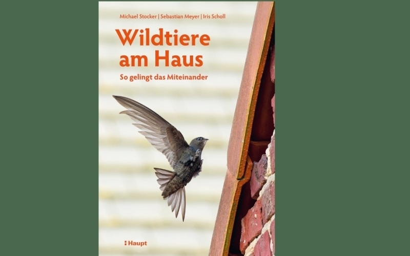 Vor grünem Hintergrund ein beigefarbenes Buch mit einem Mauersegler und dem roten Titel: Wildtiere am Haus