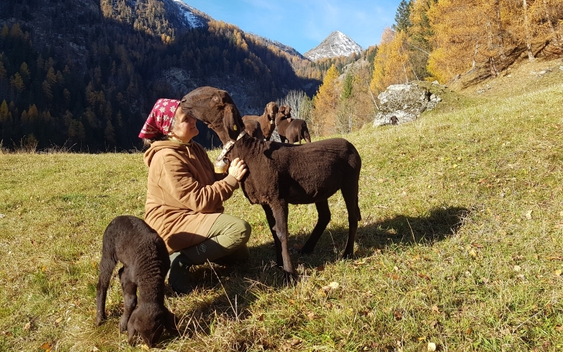 Auf einer Alm kniet eine Frau mit rotem Kopftuch vor einem braunen Schaf, das ihr vertrauensvoll den Kopf auf die Stirn legt