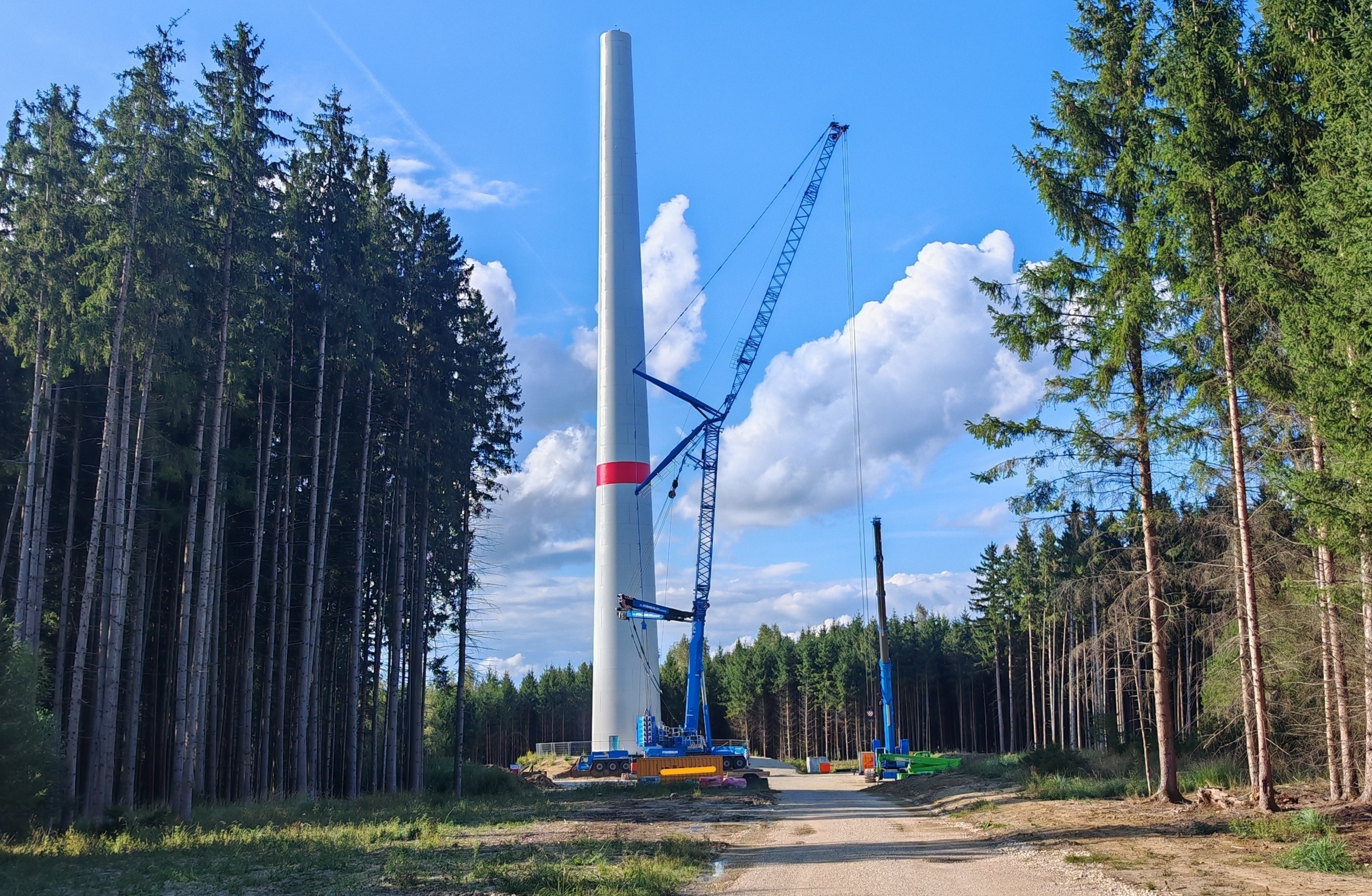 Umringt von hohen Fichten, eine Windradbaustelle mit Kranfahrzeugen